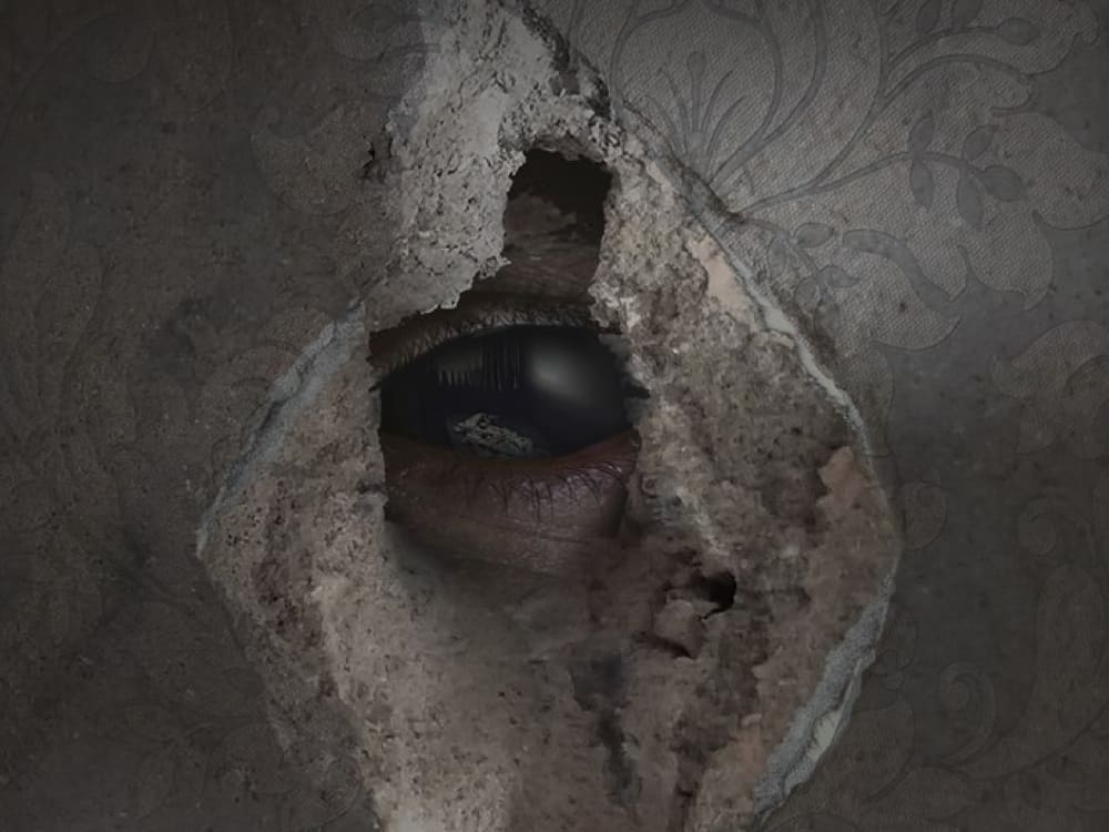 Передзамовлення «Воно гризе» Олега Соколовського від Віхола